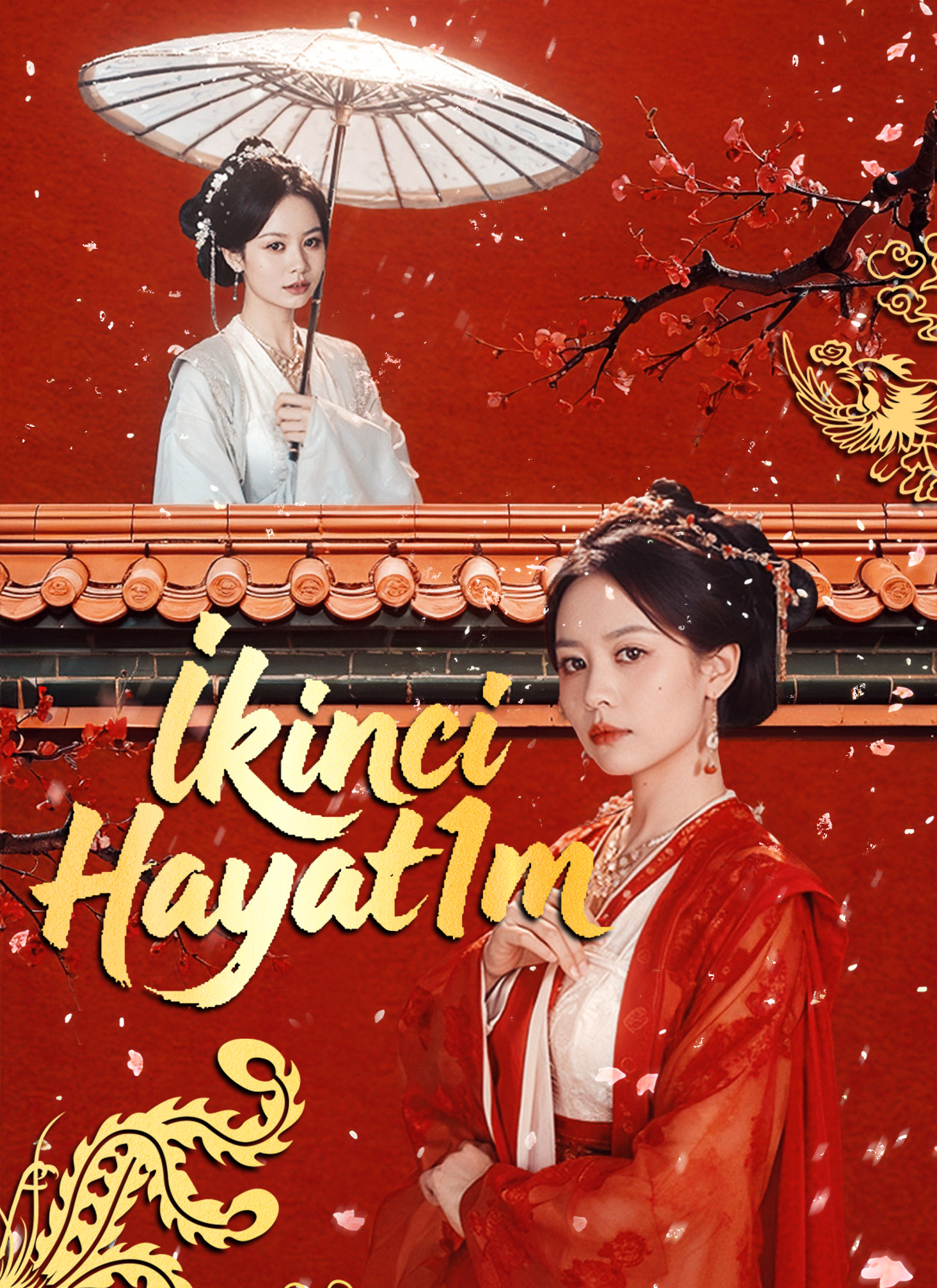 Poster İkinci Hayatım