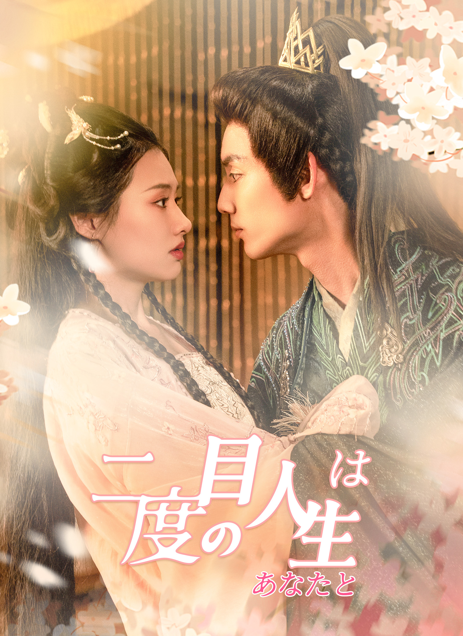 Poster 二度目の人生は、あなたと