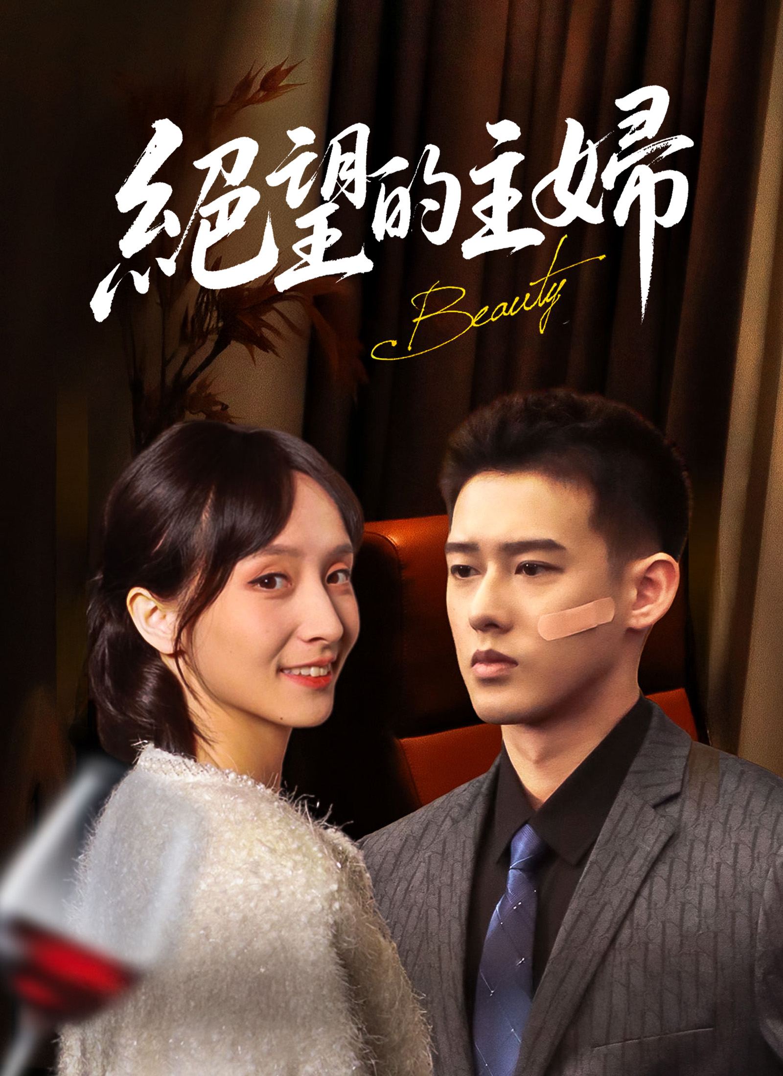 Poster 絕望的主婦