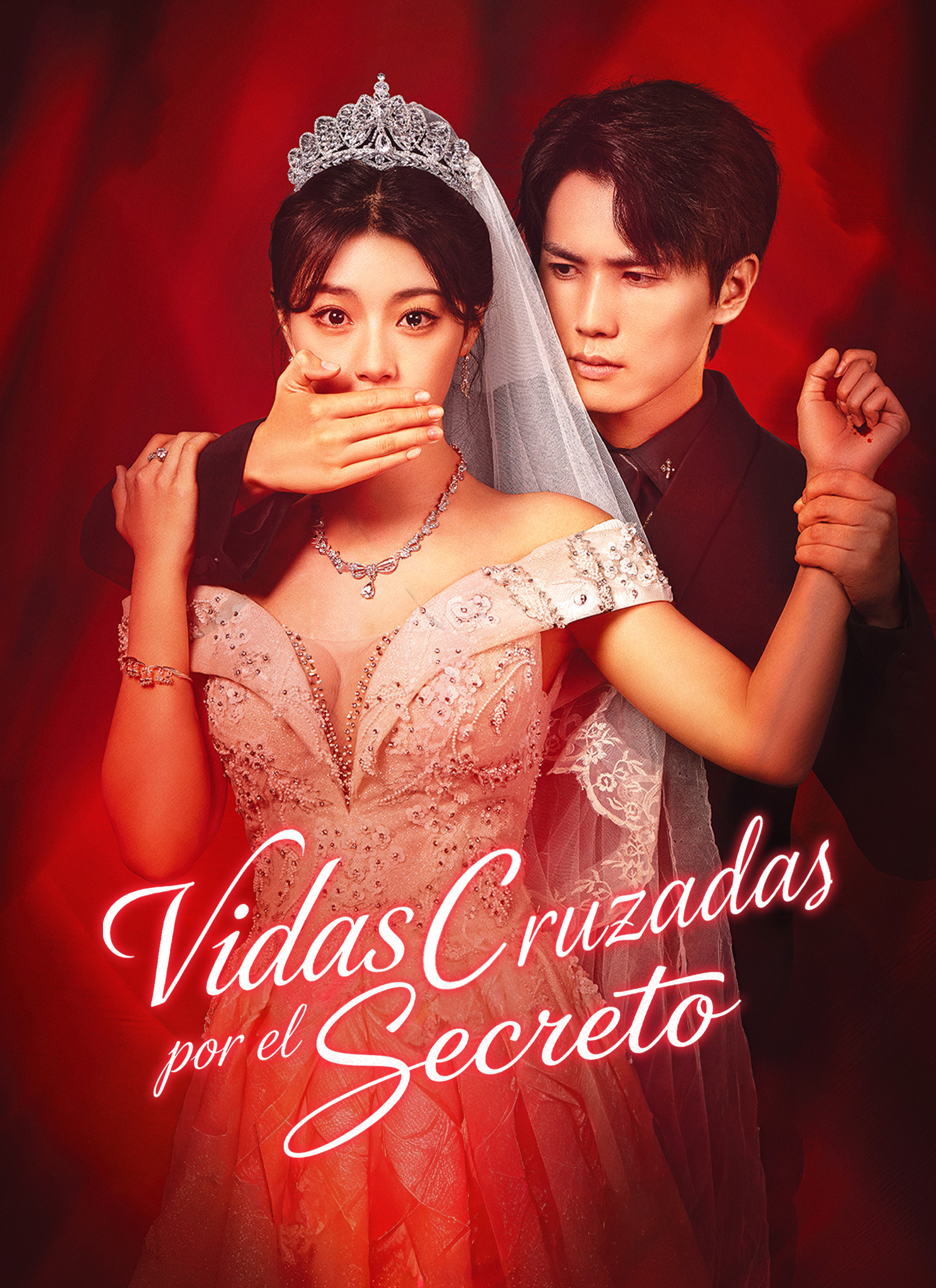 Poster [Doblado]Vidas cruzadas por el secreto