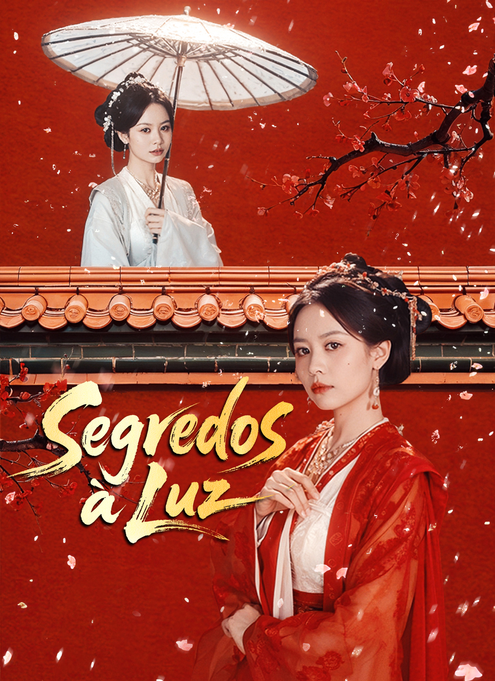 Poster Segredos à Luz