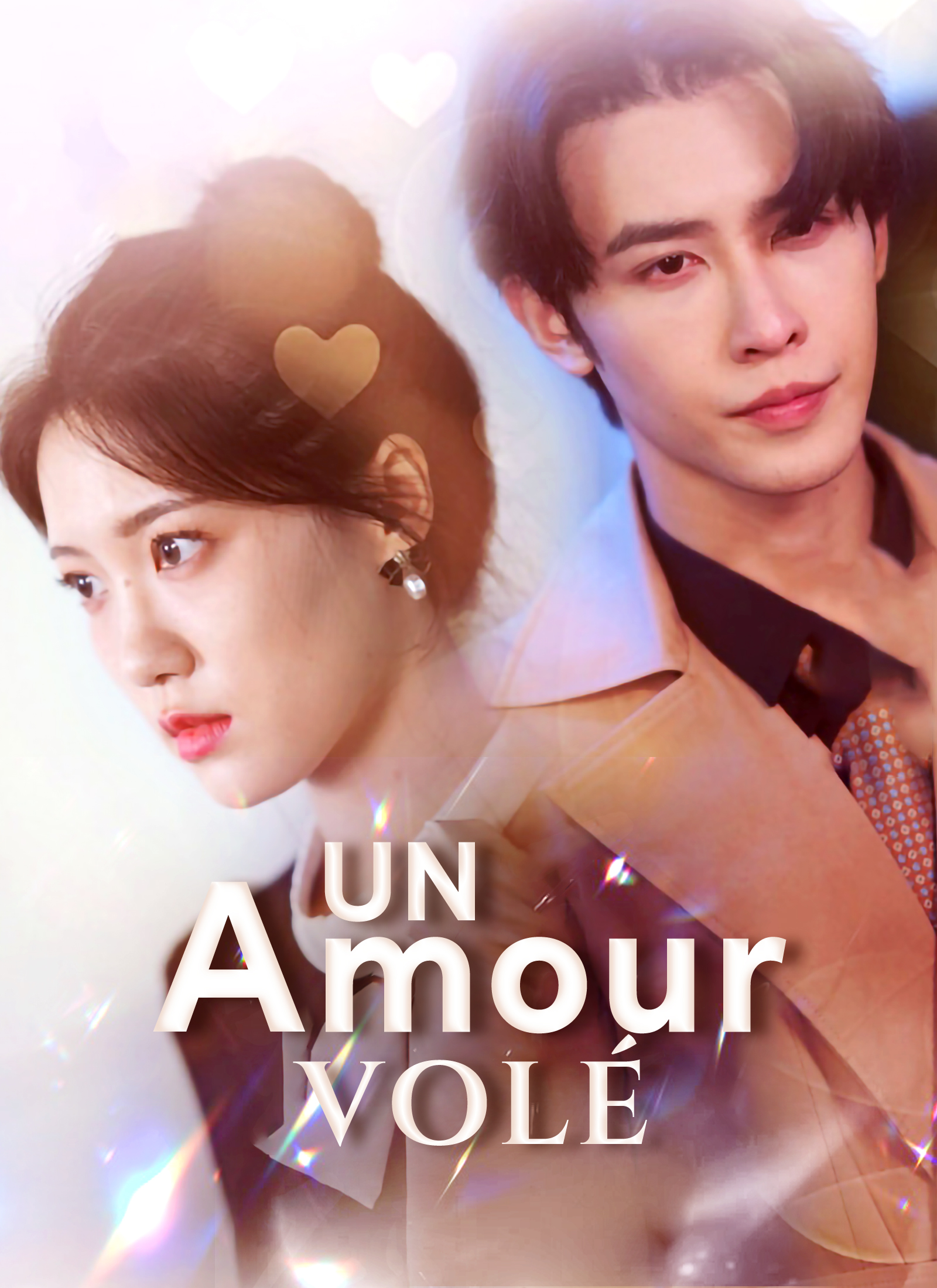 Poster Un Amour volé