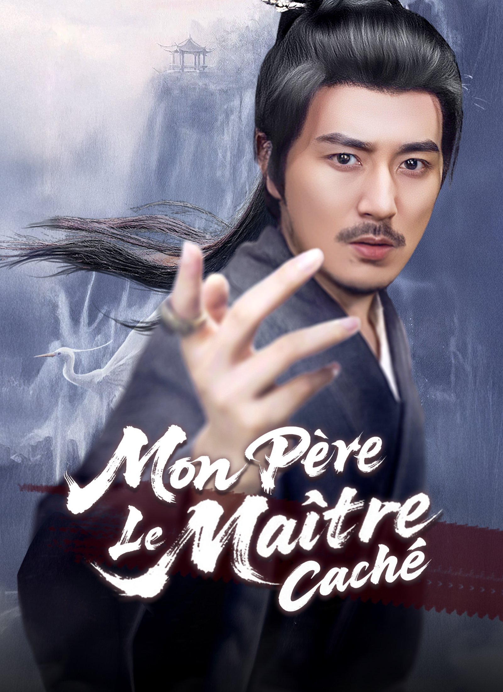 Poster Mon Père, Le Maître Caché