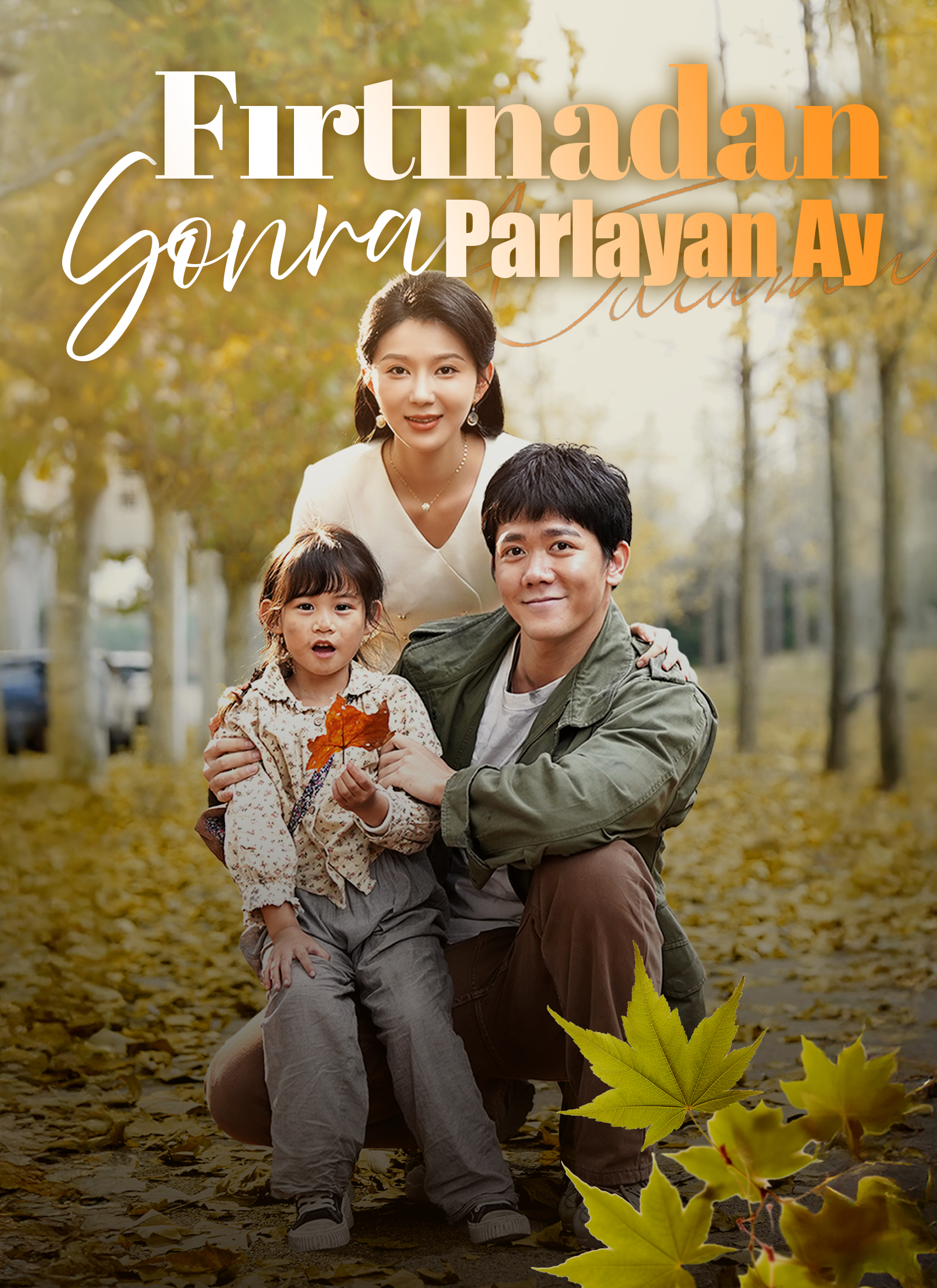 Poster Fırtınadan Sonra Parlayan Ay