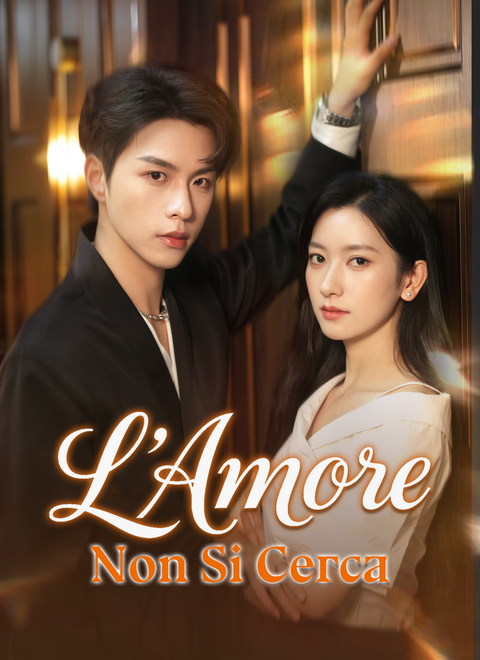 Poster L'Amore Non Si Cerca