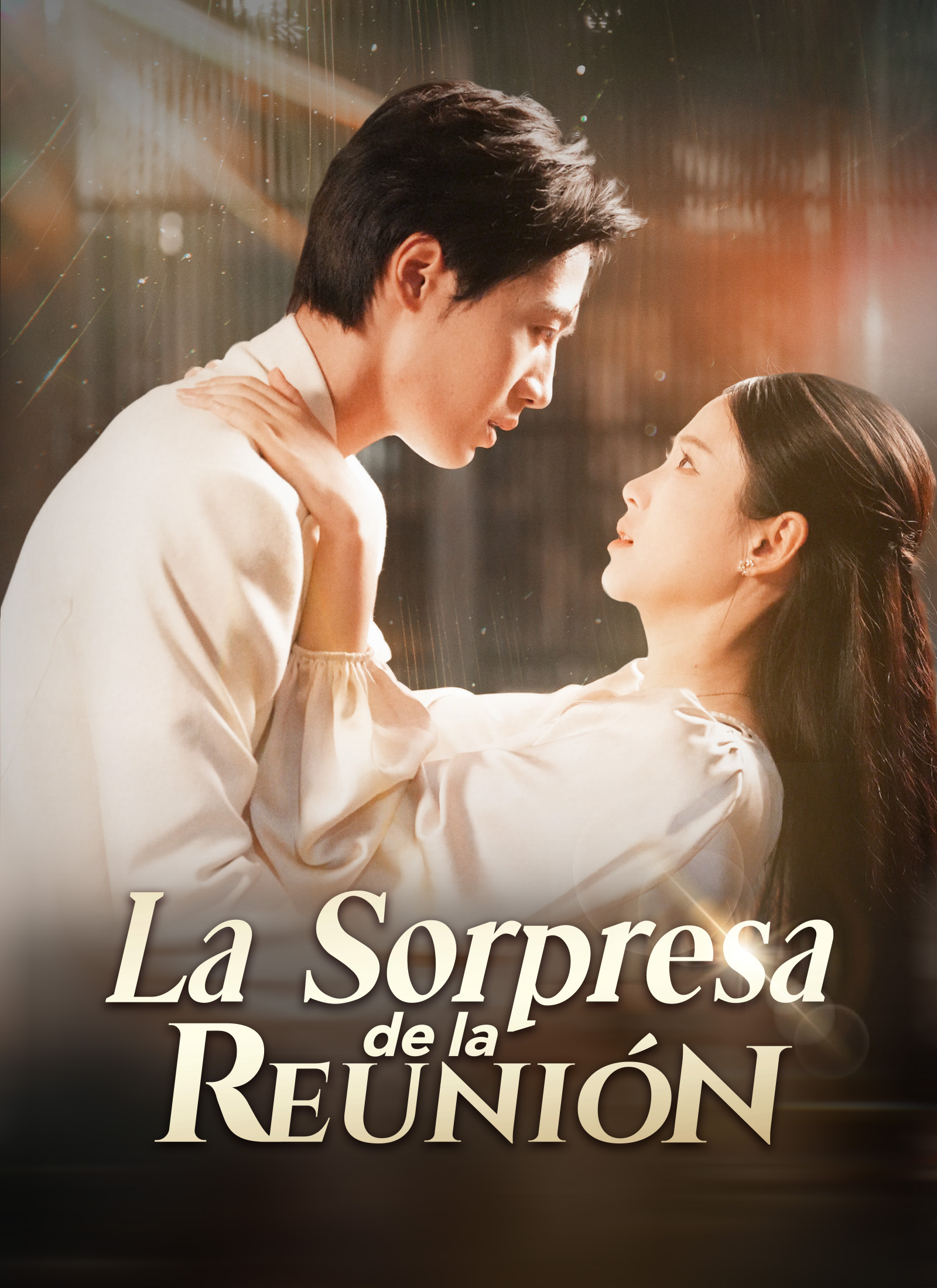 Poster [Doblado]La Sorpresa de la Reunión
